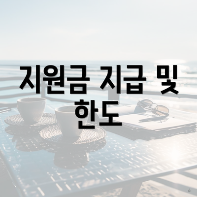 지원금 지급 및 한도