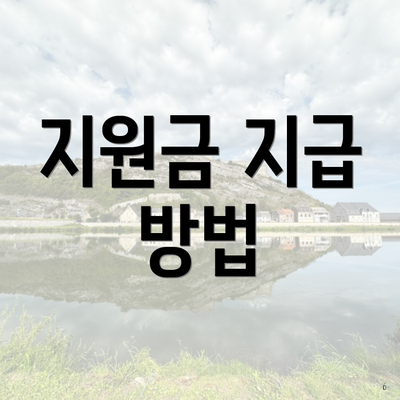 지원금 지급 방법