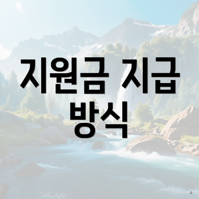 지원금 지급 방식