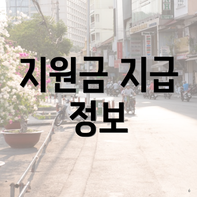 지원금 지급 정보