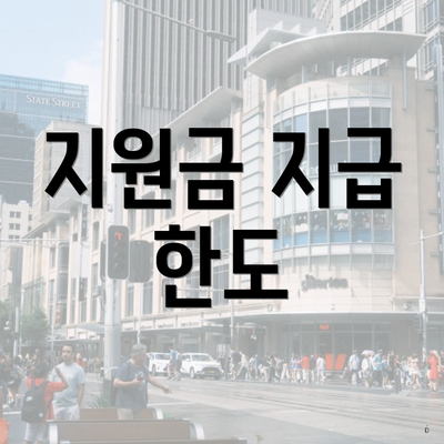 지원금 지급 한도