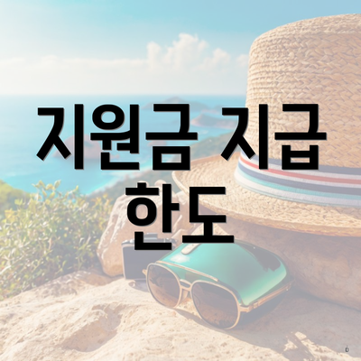 지원금 지급 한도