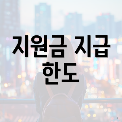 지원금 지급 한도