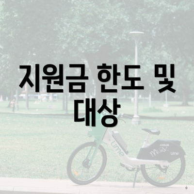 지원금 한도 및 대상