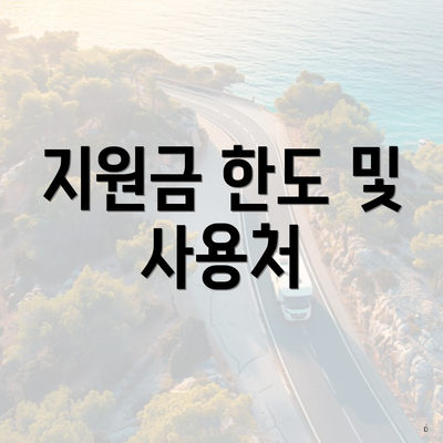 지원금 한도 및 사용처