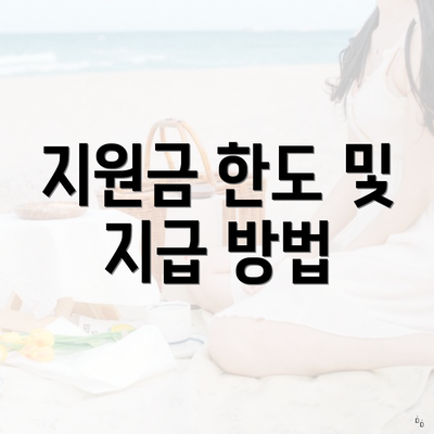 지원금 한도 및 지급 방법