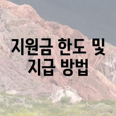 지원금 한도 및 지급 방법