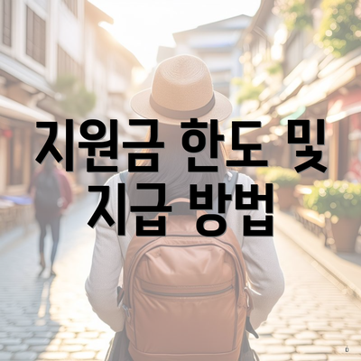 지원금 한도 및 지급 방법