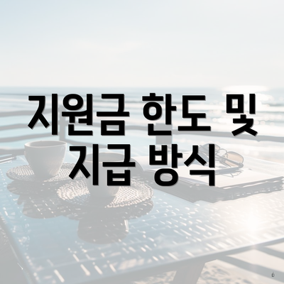지원금 한도 및 지급 방식