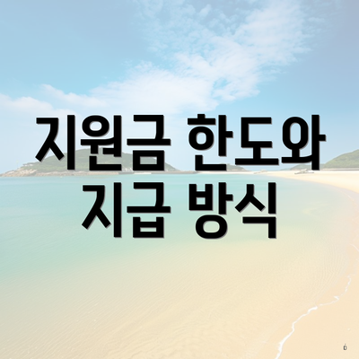 지원금 한도와 지급 방식