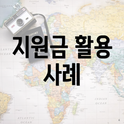 지원금 활용 사례