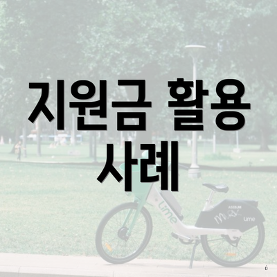 지원금 활용 사례