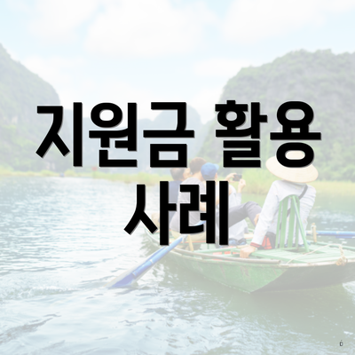 지원금 활용 사례