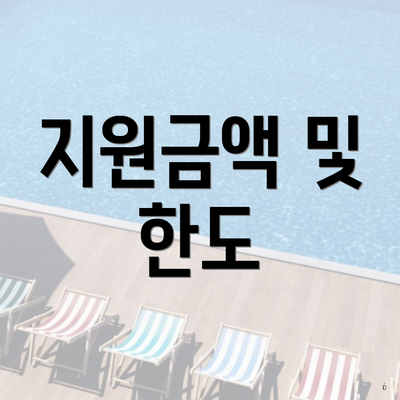 지원금액 및 한도