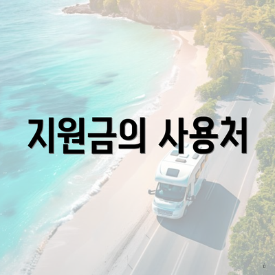 지원금의 사용처