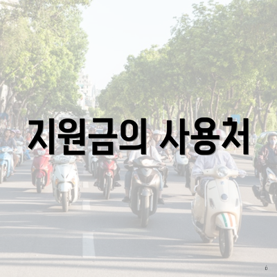 지원금의 사용처