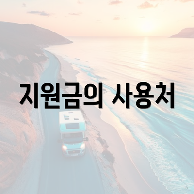 지원금의 사용처