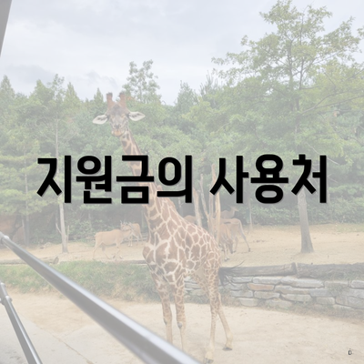 지원금의 사용처