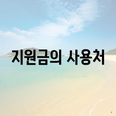 지원금의 사용처