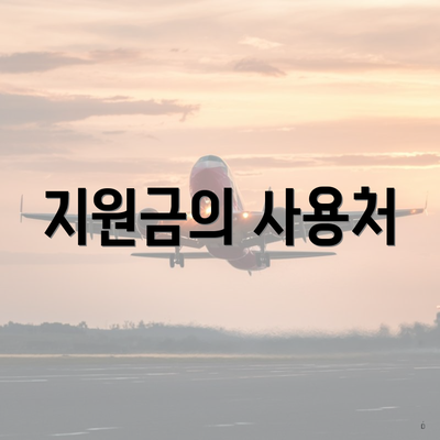 지원금의 사용처