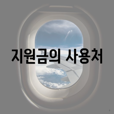 지원금의 사용처