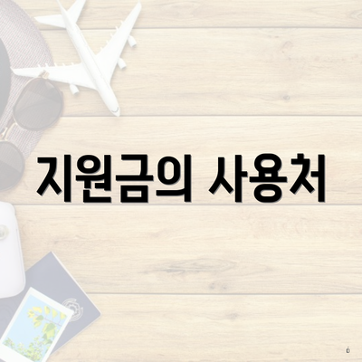 지원금의 사용처