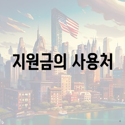 지원금의 사용처