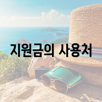 지원금의 사용처