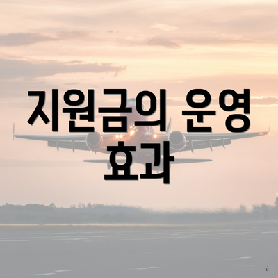 지원금의 운영 효과