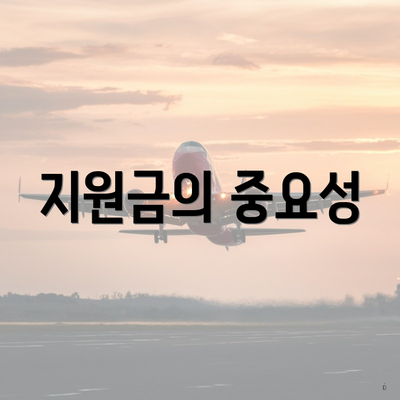 지원금의 중요성