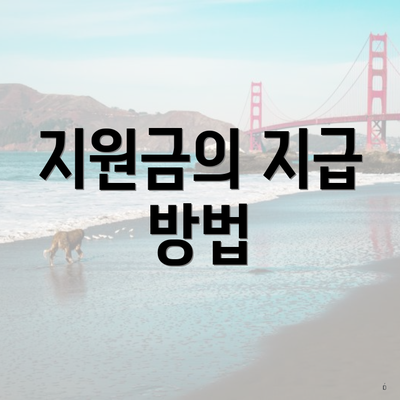 지원금의 지급 방법