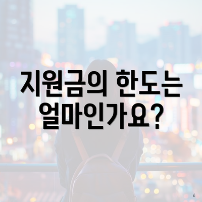 지원금의 한도는 얼마인가요?