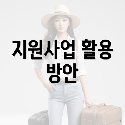 지원사업 활용 방안