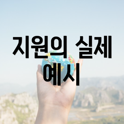 지원의 실제 예시