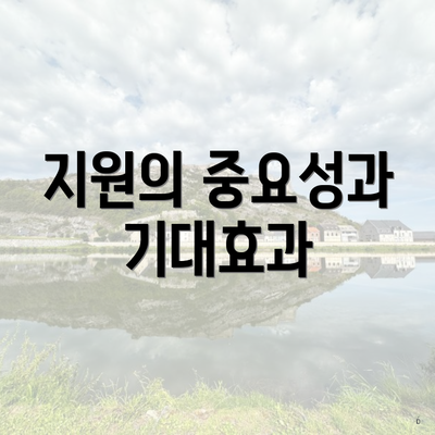 지원의 중요성과 기대효과