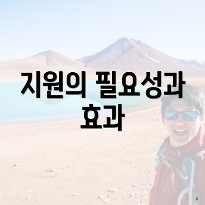 지원의 필요성과 효과