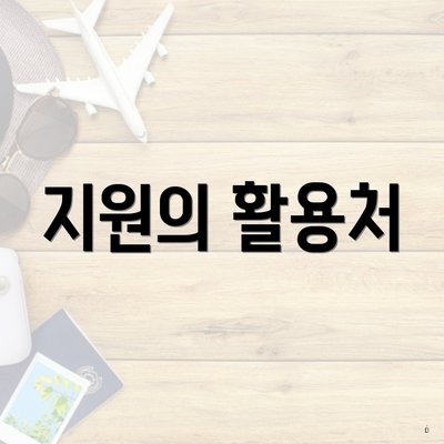 지원의 활용처