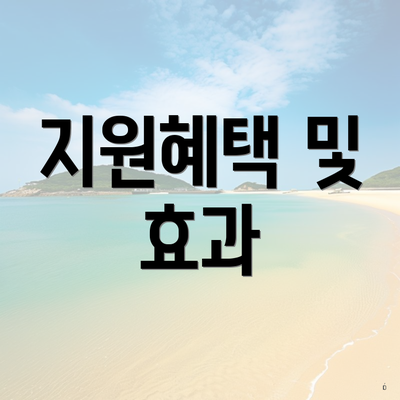 지원혜택 및 효과