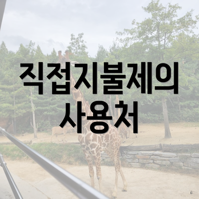 직접지불제의 사용처