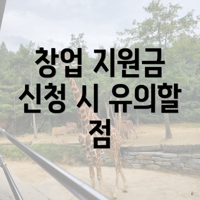 창업 지원금 신청 시 유의할 점