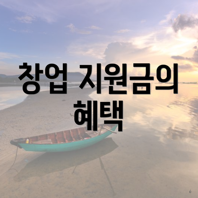 창업 지원금의 혜택