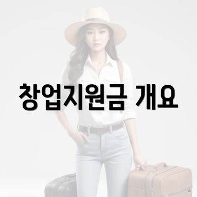 창업지원금 개요