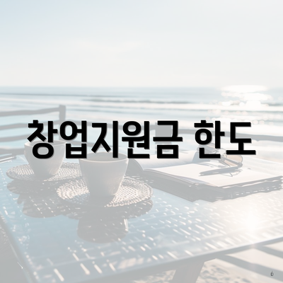 창업지원금 한도