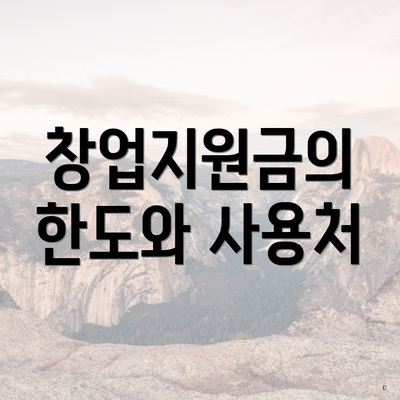 창업지원금의 한도와 사용처