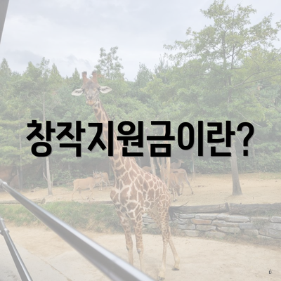 창작지원금이란?