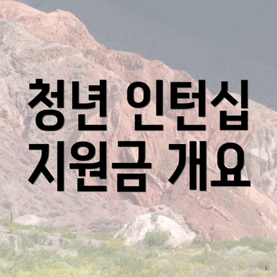 청년 인턴십 지원금 개요