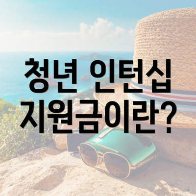 청년 인턴십 지원금이란?