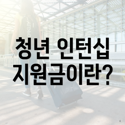 청년 인턴십 지원금이란?