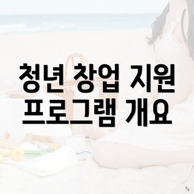 청년 창업 지원 프로그램 개요