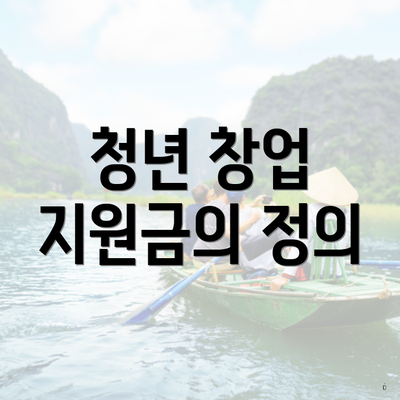 청년 창업 지원금의 정의